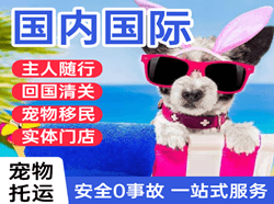 大庆萨尔图航空运输国际宠物托运 【国